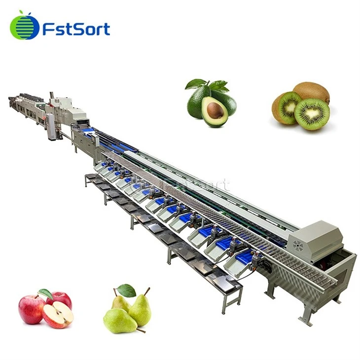 Hot Sale Avocado Bobot Sorting Machine