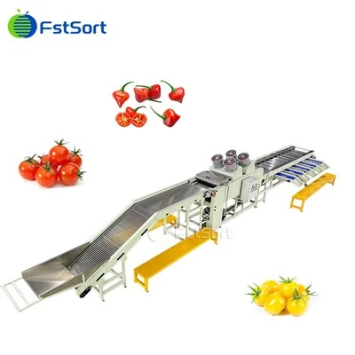 Fstsort High Quality Cherry mrico Processing Machine Vegetable Grading Machine
