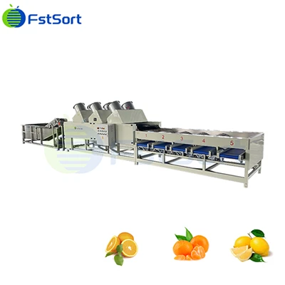 Citrus Air - Lini Produksi Mesin Sortasi Pengeringan